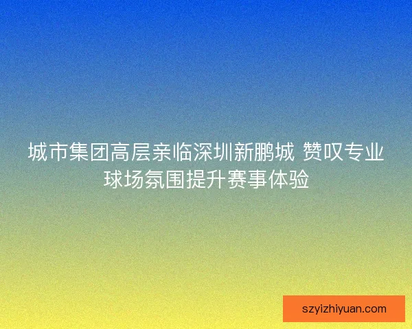 城市集团高层亲临深圳新鹏城 赞叹专业球场氛围提升赛事体验